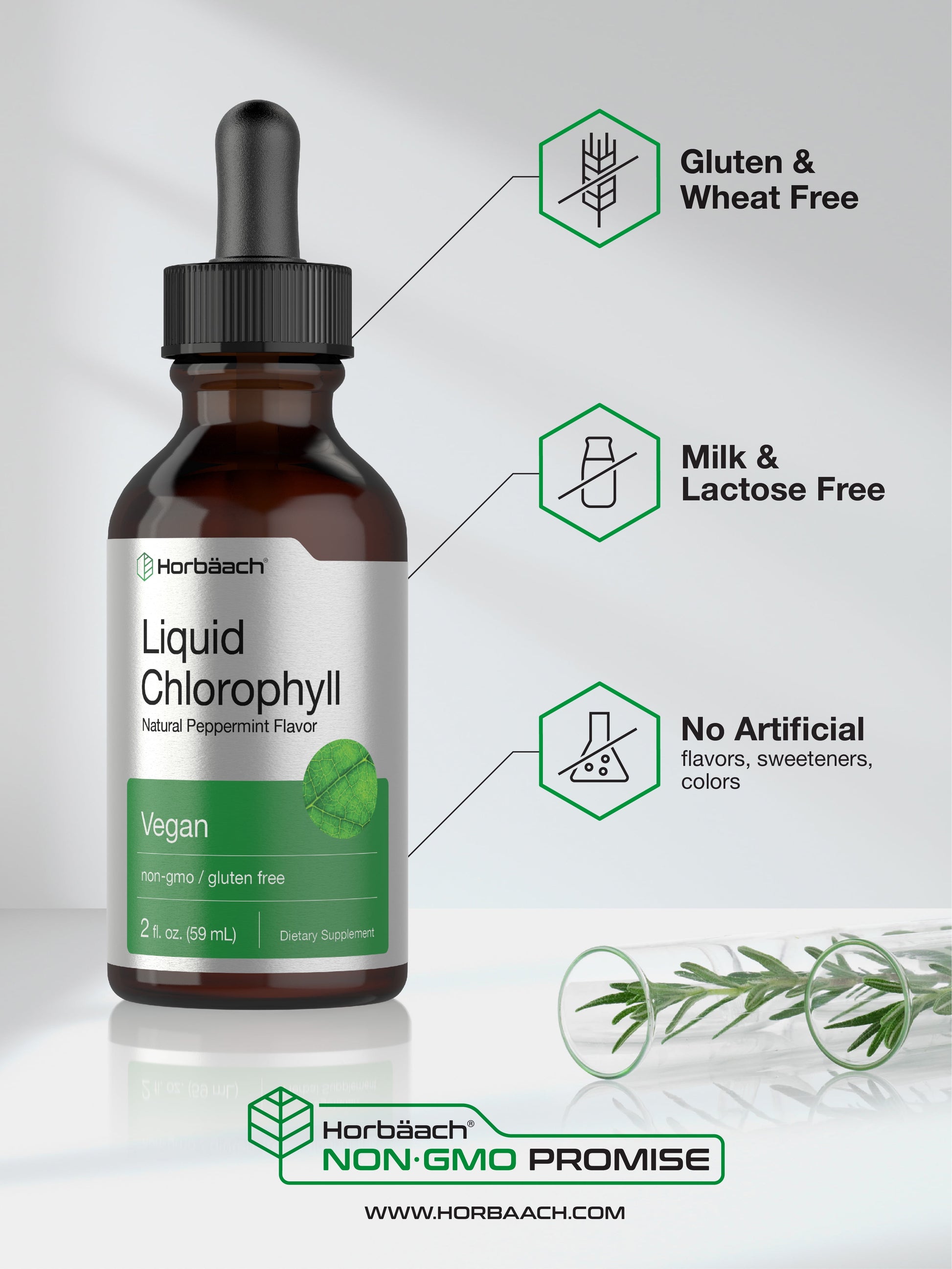 Liquid Chlorophyll | 2 Oz | Natural Peppermint Flavor | by