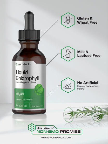 Liquid Chlorophyll | 2 Oz | Natural Peppermint Flavor | by